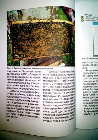Книга "Як стати пчеловодом"
