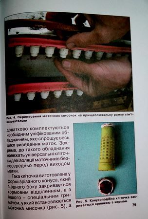 Книга "Як стати пчеловодом"